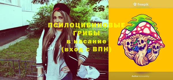 тгк Пересвет