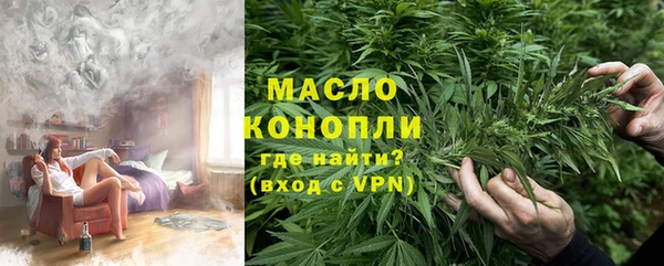 тгк Пересвет