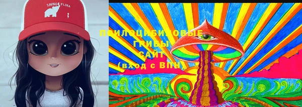 ешки Покачи