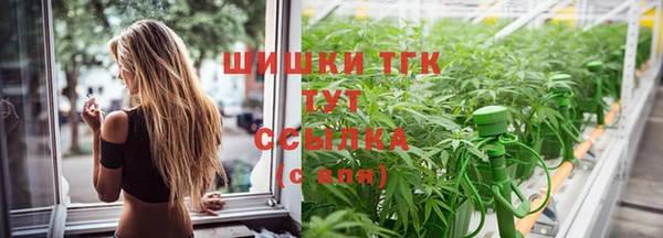 тгк Пересвет
