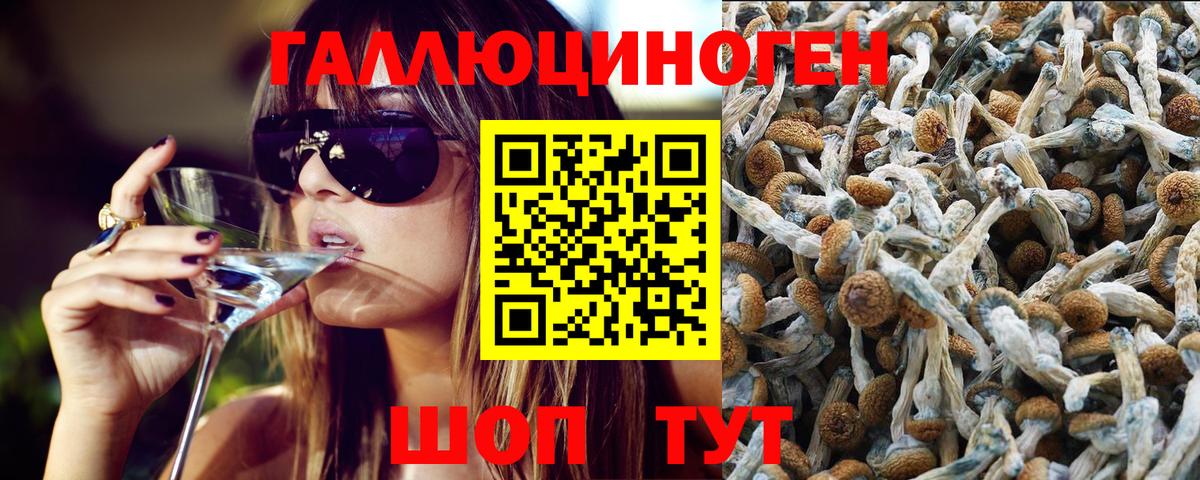Галлюциногенные грибы ЛСД Ставрополь