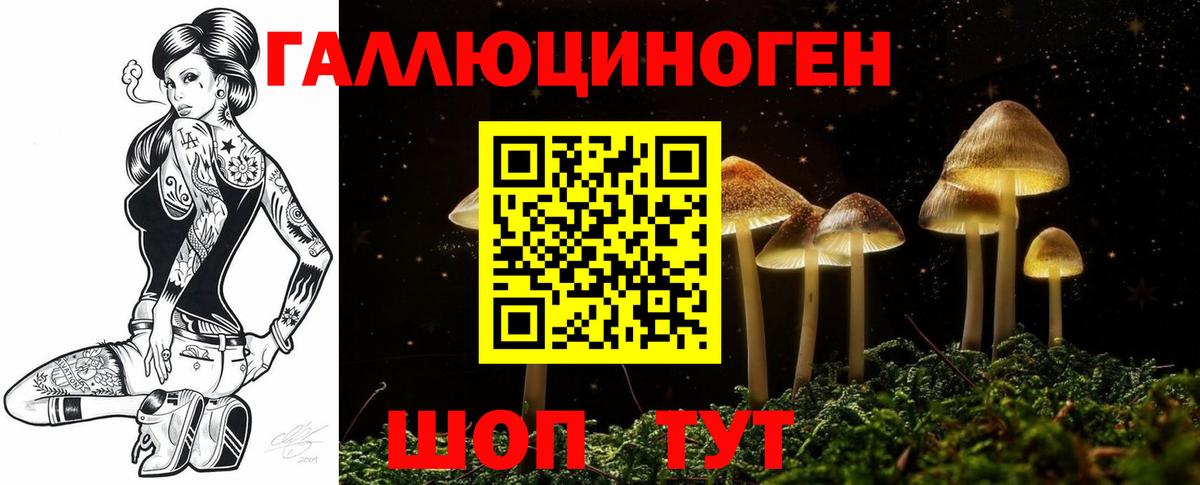 Галлюциногенные грибы Cubensis  Вход с VPN  Ставрополь 