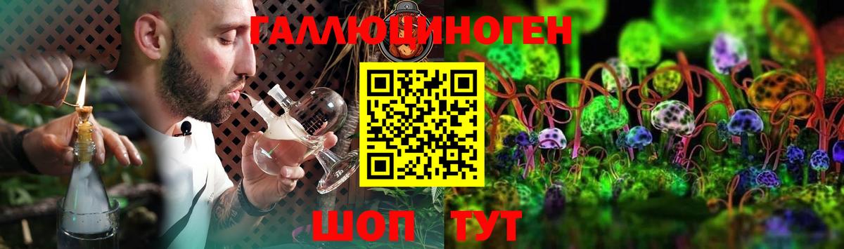 Галлюциногенные грибы Psilocybe  Ставрополь  Галлюциногенные грибы Psilocybe 