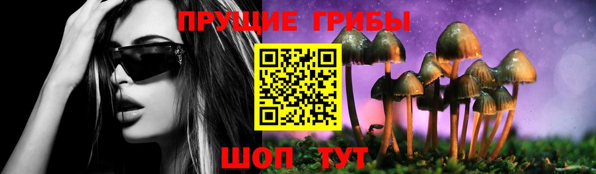 Гашиш  Ставрополь  Героин  Лсд 25  ГАШ  COCAIN  Мефедрон   Канабис  Меф МЯУ МЯУ кристаллы  Канабис  А ПВП СОЛЬ кристаллы 