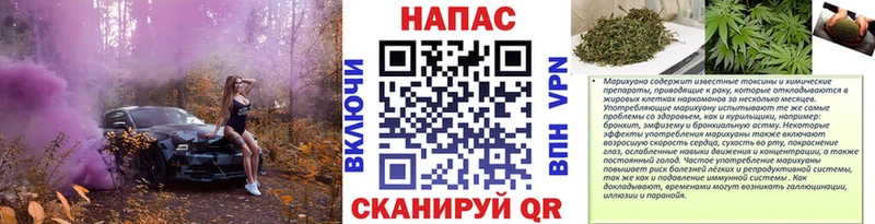 Марихуана OG Kush  Ставрополь 