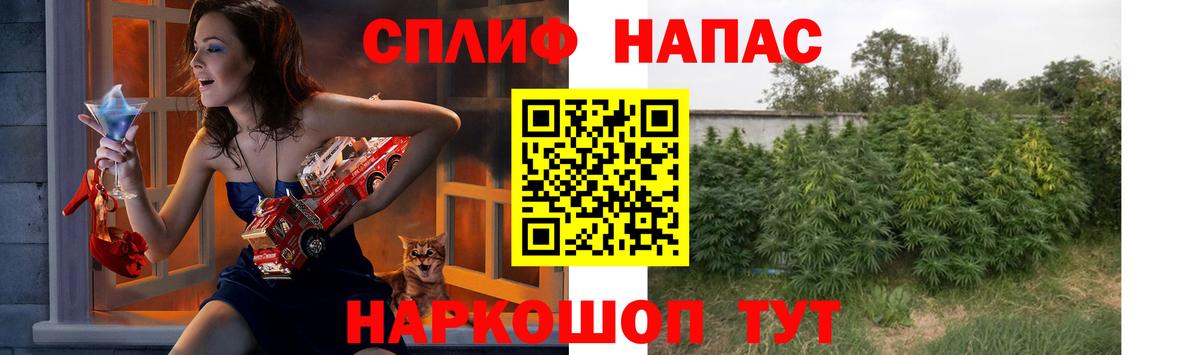 Каннабис OG Kush Ставрополь